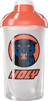 #08 - Panther