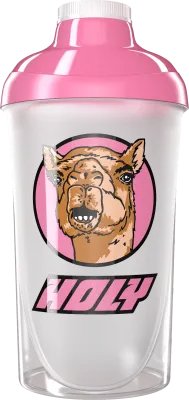 #14 - Camel