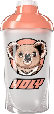 #42 - Koala